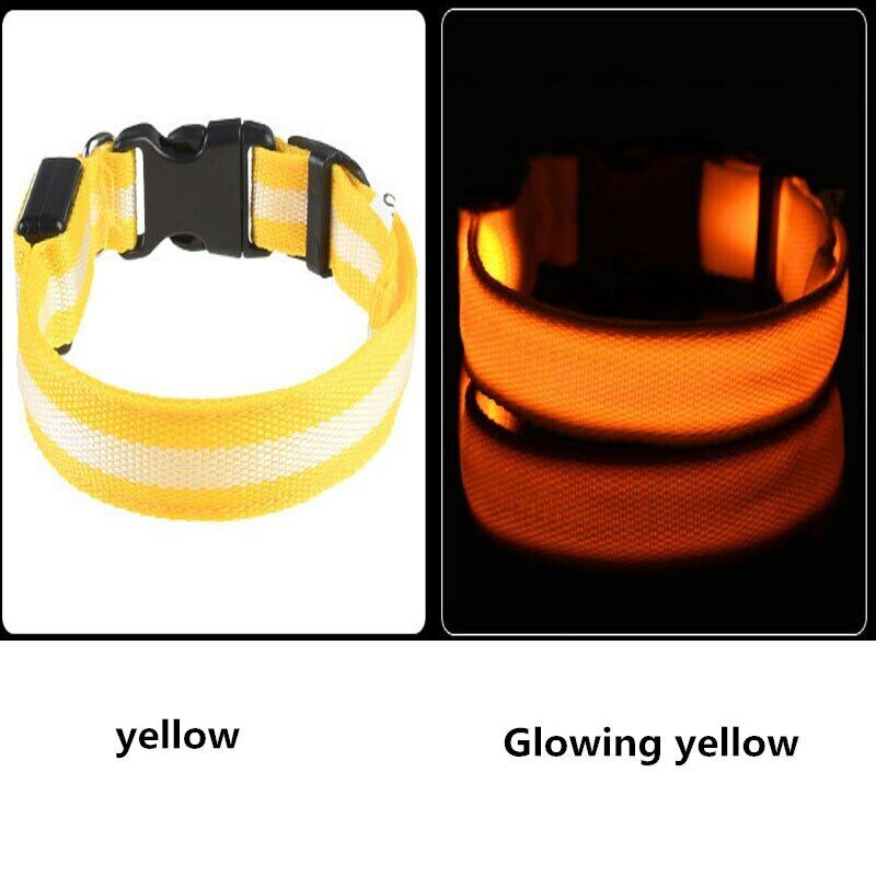 Collier Lumineux pour Chien LED Fluorescent Jaune Taille XS à XL NEUF