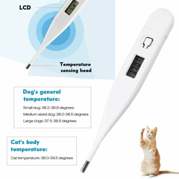 Nouveau Thermomètre LCD Numérique Digital