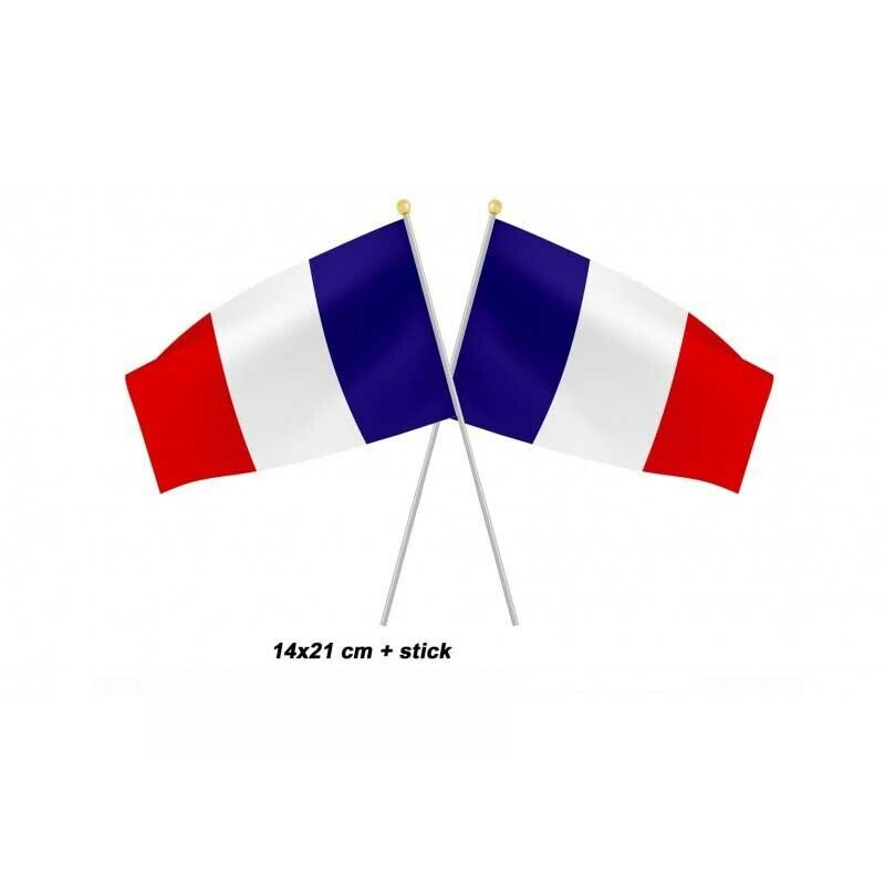 DRAPEAU FRANCE 14 X 21 CMS